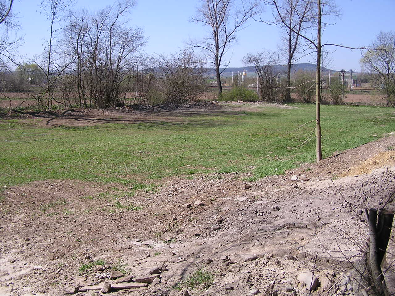 P1010001.JPG